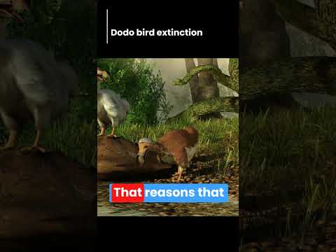 Farewell to the Dodo: Unraveling the Mystery of an Extinct Icon 🐦🦕 #YTShorts