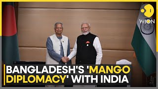 India-Bangladesh Ties: Muhammad Yunus Sends 1,000 Mangoes to Indian PM Modi | WION World News