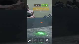 Battle of Warships: Face-to-Face Showdown with Hornet – A Close Encounter, Who Will Win?