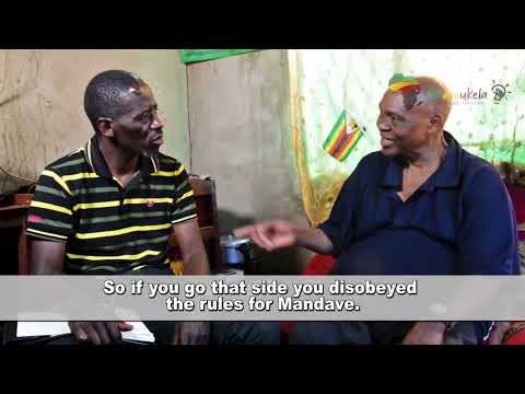 The Death of James Bond- Cde Nhamo Explains!!