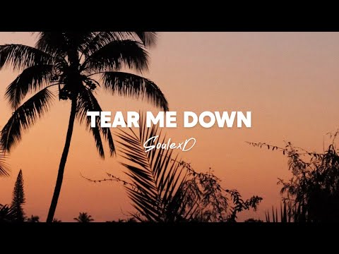 SoalexD - Tear Me Down (feat. AirShineMusicR) [Lyrics]