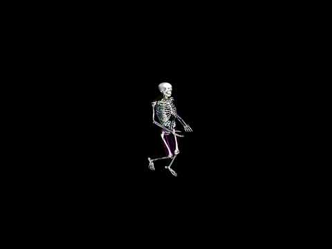 Biomechanical Human Simulation: Walk