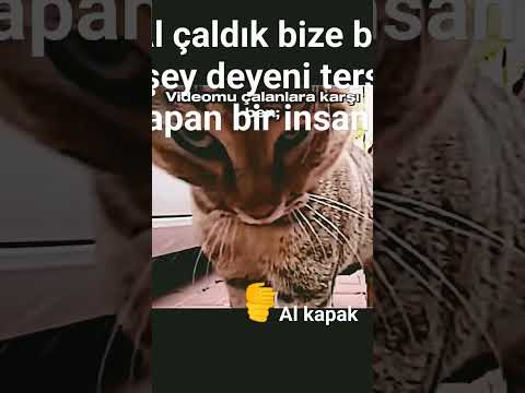 25 Nisan 2024