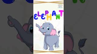 Learn Animals name #name of animals #kidslearning #curiosityforkids #animalshorts
