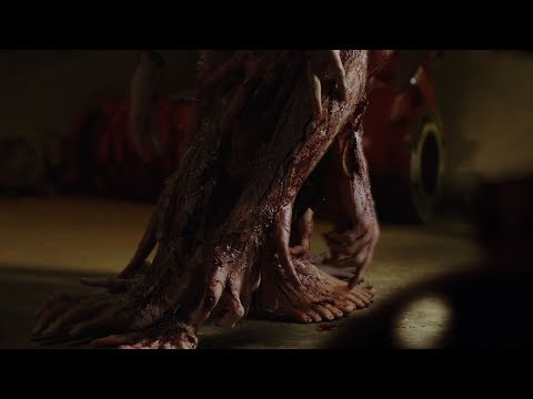Zygote Teaser