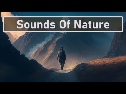 Stay motivated   |  1 hour relaxing & meditation music