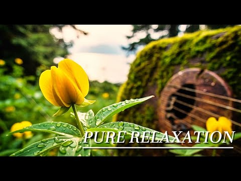 🔴[3 HOUR] Calm Waters Retreat – Relaxing Sounds for Spa Relaxation | Oxy Music