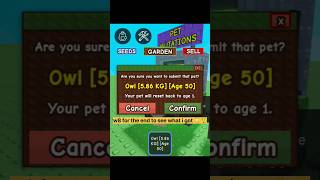 my owl after mutation 😲 in grow a garden #roblox #shortsfeed #robloxhighlights #robloxshorts