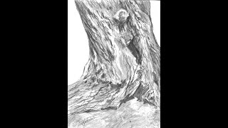 "Scraggly Tree Bark" Pencil Drawing Composition & Proportions Free Lesson & Music by David Luebbert