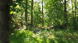 How to convince a dev team that the code is good enough?