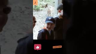 #entertainment #funnyvideo #viralvideo #codemy