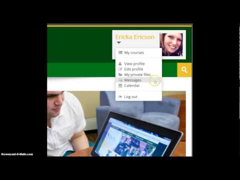 User Profile