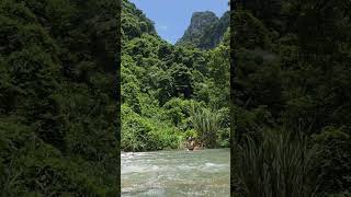 #nature# #travel# #girlbuildingbushcraftlife#solo#camp# campinggear#shorts