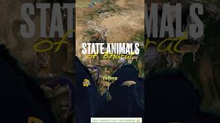 State animal of india 😯. #saveanimals #savethenature #gogreen #protectthenature #savethenature 🙏🌲🌱🌳🌴