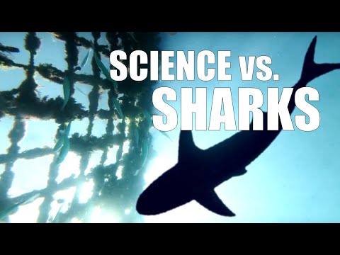 Building A Better Shark Net