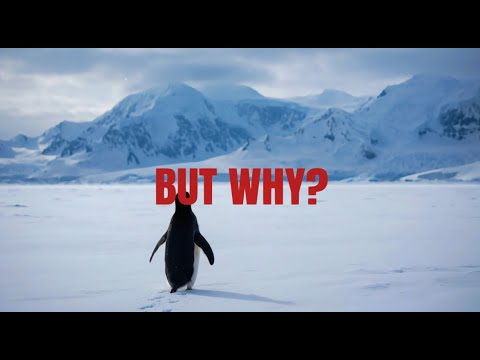 But why?