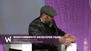 WooCommerce Developer Panel