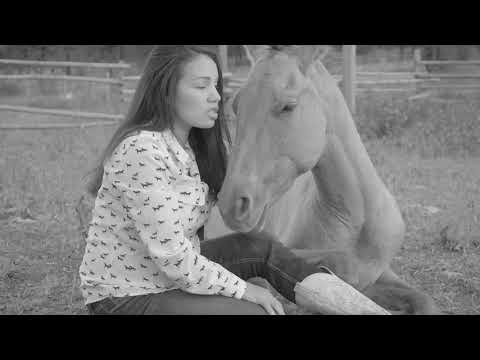Connecting through our horses