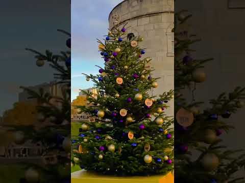 Live each day with gratitude for the beautiful gift of life you have been given.