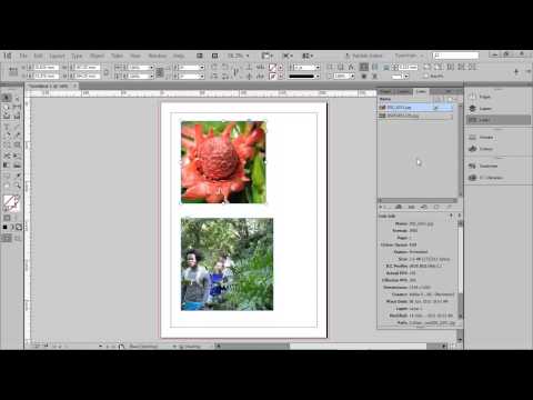Working with images in InDesign
