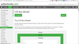 web dev skills 08