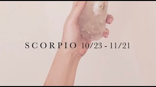 Scorpio June 2025  Psychic ★ Tarot Reading - Invest in your space and environment #psychictarot