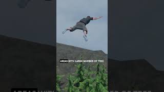 What Happens If You FALL From An Aeroplane