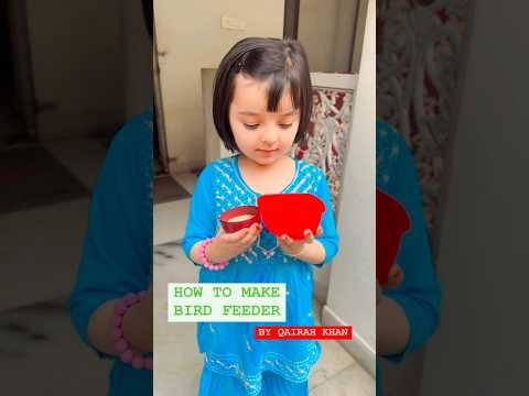 Bird feeder by Qairah khan #fun #viralvideo #cute