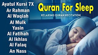 The Best Surah For Sleeping And Your All Problems Solve | Recited By Alaa Aqel Relaxing - Holy Quran
