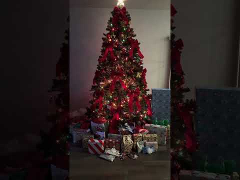 🎄Merry Christmas🎄 ##merrychristmas #christmas #christmas2023 #natal2023 #feliznatal #christmastree