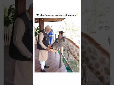 PM Modi Special Movements At Vantra #shorts #trending