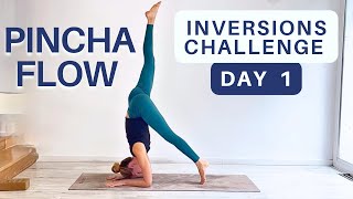 15 Min Pincha Yoga Flow | Build A Routine for your Forearm Stand