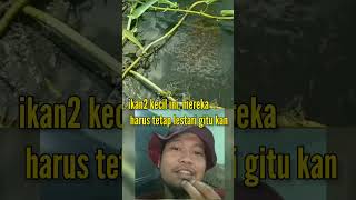 lestarikan ekosistem parit ya guys #pancingjaring #mancingjaring #fishing