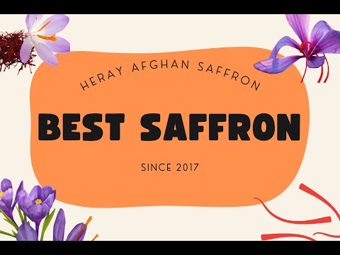 Heray Saffron Just Harvested in Herat Afghanistan,  Discover the Finest Saffron Experience