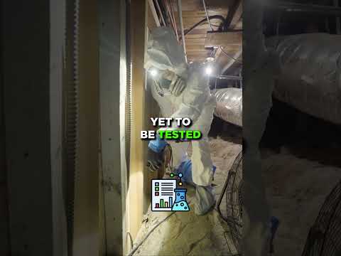 Dirt, Wood, & Water Can Lead To Mold Problems