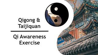 Qi Awareness Exercise - Qigong and Taijiquan with Marco Lueck