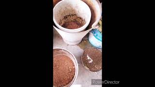 Easy compost  in my home...Ajith Talks 👍