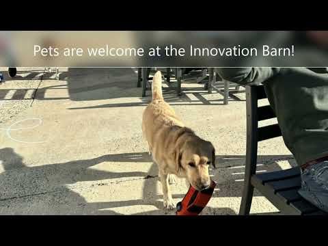 Celebrating Circular Economy with The Innovation Barn