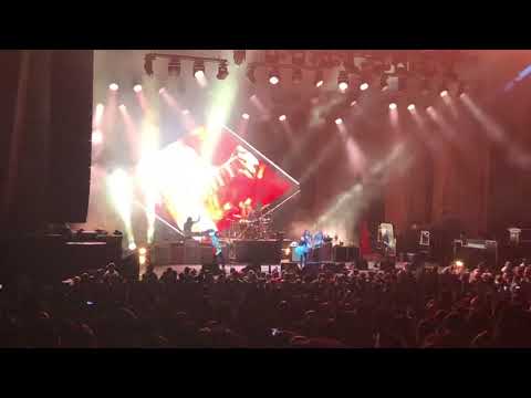 Walk - Foo Fighters Blossom 2108