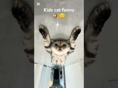 "Non-Stop Fun! Kids Playing at Home 🎉 #KidsFun #Playtime #HappyKids #FamilyMoments #IndoorPlay"