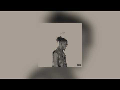 LM - Organisé (Audio officiel)