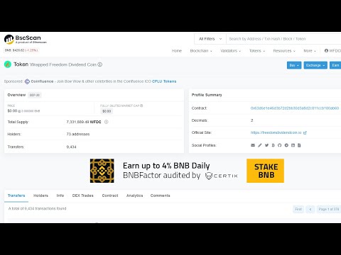 Token Info Approved on BscScan