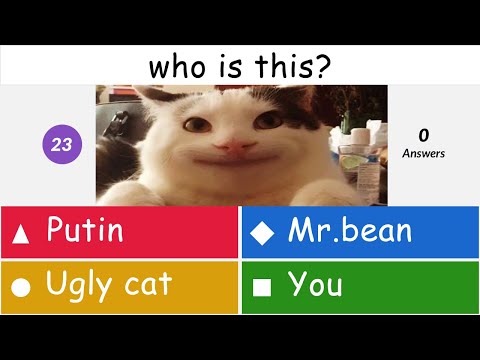 beluga compilation , beluga mega kahoot , kahoot compilation
