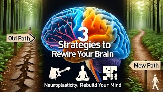 The 3 Brain Strategies That Actually Rewire Your Mind (Neuroscience Explained)