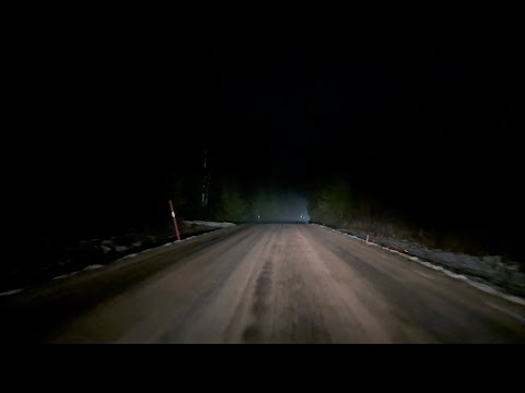 Lonely & Peaceful Drive in the Woods at Night - Ambient, No Talking & No Music