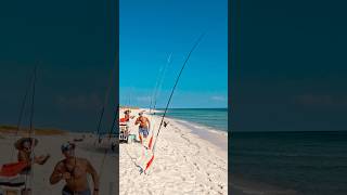 We Don’t Panic… We Just Speak Fluent Fish Code! #reels #trending #viral #foryou #fishing #explore