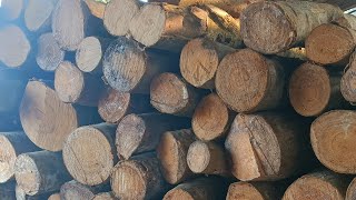 Subrata Kumar is live work # wood working