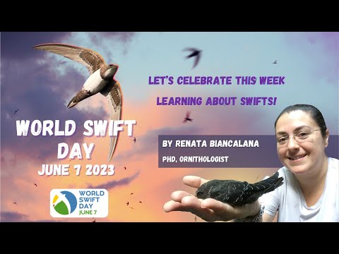 World Swift Day - Agenda of Videos From 5 to 10/6/2023