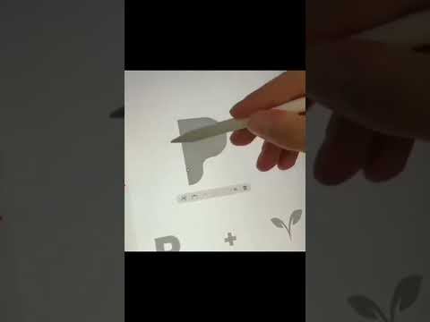 Letter P + Plant Logo