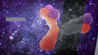 Using cell sorting to identify unique lung bacterial communities